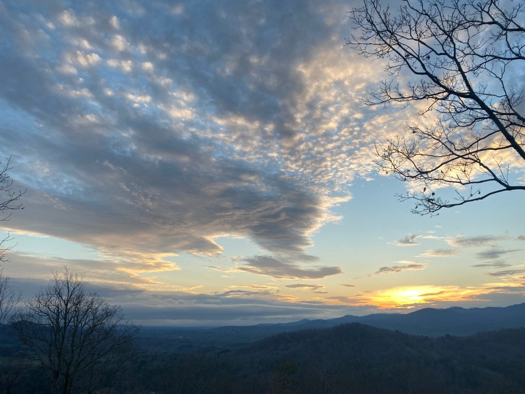 Asheville! Oh, how I love you, let me count the&nbsp;ways